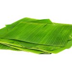 Golden Turtle Mražené banánové listy 500 g – Zboží Dáma