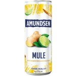 Amundsen Mule vodka & zázvor & limeta & soda 6% 0,25 l (plech) – Hledejceny.cz