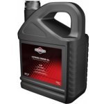 Briggs & Stratton SAE 30 5 l – Sleviste.cz