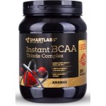 Smartlabs BCAA triade 400 g – Zbozi.Blesk.cz