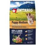 Ontario Puppy Medium Lamb & Rice 2,25 kg – Hledejceny.cz