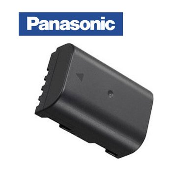 Panasonic DMW-BLF19E