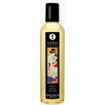 Shunga STIMULATION broskve 250 ml – Zbozi.Blesk.cz