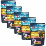 Ontario Adult Pork with Chicken in broth 5 x 100 g – Hledejceny.cz