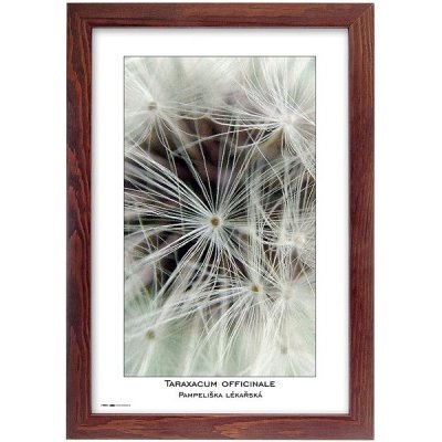 TRADAG Natura 20 x 30 hnědý – Hledejceny.cz