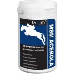 Dromy MSM + ACEROLA 1000 g – Hledejceny.cz