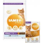 Iams Kitten Ocean Fish 2 kg – Hledejceny.cz