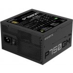 Gigabyte P750GM 750W GP-P750GM – Hledejceny.cz