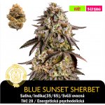 Barneys Farm Sunset Sherbet Feminizováno semena neobsahují THC 1 ks – Sleviste.cz