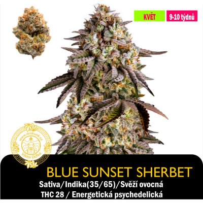 Barneys Farm Sunset Sherbet Feminizováno semena neobsahují THC 1 ks – Sleviste.cz