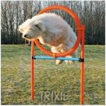 Trixie Agility proskakovací kruh / 78 x 115 cm – Zbozi.Blesk.cz