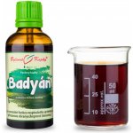 Bylinné kapky Badyán plod tinktura 50 ml – Hledejceny.cz