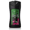 Sprchové gely AXE sprchový gel pro muže 250 ml WILD BERGAMONT AND PINK PEPPER