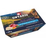 Ontario Adult Dog Lamb with Rice 320 g – Sleviste.cz