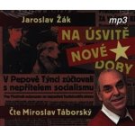 Na úsvitě nové doby - Jaroslav Žák – Hledejceny.cz