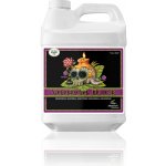 Advanced Nutrients Voodoo Juice 250 ml – Sleviste.cz