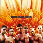 Rammstein - Herzeleid LP - LP – Hledejceny.cz