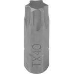 Bit TORX T 40 – Zboží Dáma