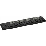 Korg nanoKEY2 – Zboží Dáma
