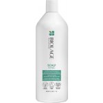 Matrix Biolage VolumeBloom Shampoo 1000 ml – Zboží Dáma