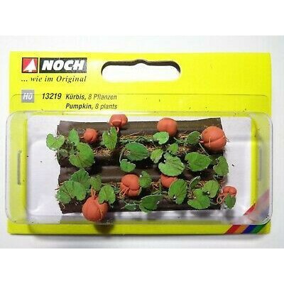 Noch Dýně 3 x 6 cm 8 rostlin NO13219 NO13219 – Hledejceny.cz
