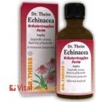 Dr. Theiss Echinacea bylinné kapky 50 ml – Hledejceny.cz