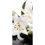 WEBLUX 28705565 Samolepka na dveře fólie madonna lily and spa stone madonna lily a lázeský kámen rozměry 90 x 220 cm