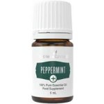 Young Living esenciální olej Máta peprná - k vnitřnímu užití 5 ml – Hledejceny.cz