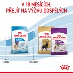 Royal Canin Giant Junior 15 kg – Zboží Mobilmania