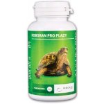 Univit Roboran pro plazy 100 g – HobbyKompas.cz