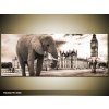 Obraz Obraz london slon na ulici