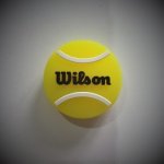 Wilson Roland Garros Vibra Dampener – Hledejceny.cz