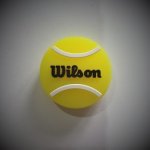 Wilson Roland Garros Vibra Dampener – Zbozi.Blesk.cz