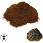 LifeChi Ohňovec brázditý Phellinus linteus, Tropicoporus linteus extrakt v prášku 50 g – Hledejceny.cz