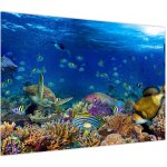 Obraz - Oceán, jednodílný 100x70 cm – Hledejceny.cz