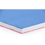 TRINFIT Tatami JUDO T40 – Sleviste.cz