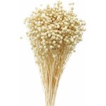 Sušený len bílý 80 g – Zboží Dáma