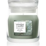 Yankee Candle Silver Sage & Pine signature 110 g – Hledejceny.cz