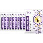 BKVTěsto, krmivo pro včely s vitamíny, energetizující, 1 kg x 10 ks – Hledejceny.cz