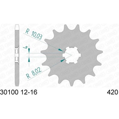 AFAM 30100-13 | Zboží Auto