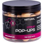 Kevin Nash Plovoucí boilies Pop Ups Citruz Natural 75 g 12 mm – Hledejceny.cz