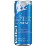 Red Bull Afine Canadiene 250 ml – Zboží Dáma
