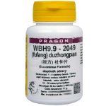 Pragon WBH9.9 - duzhongpian 36 tablet – Hledejceny.cz