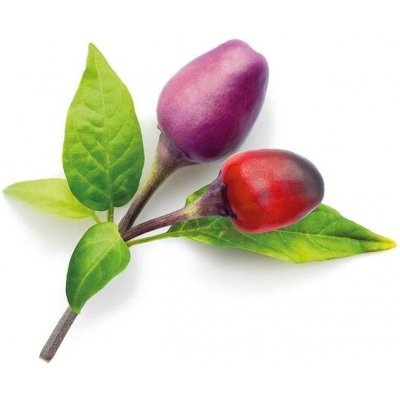 Click and Grow fialové chilli kapsle se semínky a substrátem 3ks – Hledejceny.cz