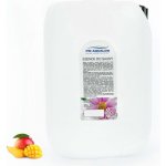 PM Aqualog saunová esence mango 848-010/S 10 l – Hledejceny.cz