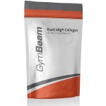 GymBeam RunCollg Collagen Pomeranč 500 g – Zboží Mobilmania