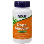 Now Foods DOPA Mucuna 90 rostlinných kapslí – Hledejceny.cz