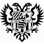 Salming Jason Pro Interior Padding – Sleviste.cz