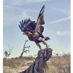 Christian Dior Sauvage toaletní voda pánská 100 ml tester – Hledejceny.cz