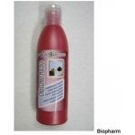 IV SAN BERNARD roztok na čištění uší 250 ml – Zbozi.Blesk.cz